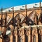 Cathedral of Our Lady of Strasbourg details