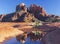 Cathedral Rock Spire Reflection in Shallow Pool with Cactus in Foreground and Blue Sky Landscape