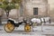 Cathedral, Seville - Sevilla with Horse and Carriage, Spain