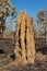 Cathedral termite mound, Australia