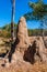 A cathedral termite mound in the Australian outback