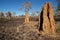 Cathedral termite mounds, Australia