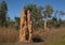 Cathedral termite mounds in Top End Australia