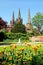 Cathedral and tulips, Lichfield.