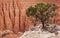 Cathedral Valley, Capitol Reef national park, USA