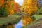 Catherine park in autumn, Pushkin Tsarskoe Selo, St. Petersburg, Russia