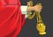 Catholic Liturgical Brass Thurible