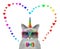 Caticorn ashen wears heart sunglasses 2