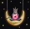 Caticorn gray with donut swings on moon