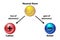 Cation and Anion from Neutral Atom