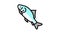 catla catla fish color icon animation