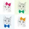 Cats with a bows. Seamless pattern. Color set. Realistic graphic illustration