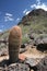 Cats Claw Cactus at Picacho Peak Park