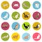 Cats of different breeds. Icons. Vector image in a flat style. Illustration on a round background. Element of design, interface