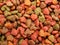 Cats (dogs) food detail close-up