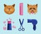 Cats and dogs grooming. Pet Grooming Icons