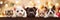 A cats and a dogs peeking out from behind a wooden board. Cute puppies and kittens with a defocused Christmas background