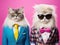 Cats dressed in suits on pink background. The concept is anthropomorphic pet fashion.