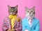 Cats dressed in suits with a pink background. The concept is whimsical animal humor.