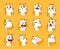 Cats expressions set. Cartoon pets with cute emotions, creative emoji of home animal. Vector illustration of funny mood