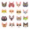 Cats faces with glasses set