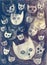 Cats` faces on a gloomy dark background.