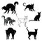 Cats feline black silhouettes