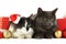 Cats with gift boxes and baubles