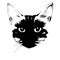Cats head sketch closeup. Good for tattoo. Editable vector monochrome image with high details isolated on white