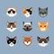 Cats heads in flat style vector design illustration