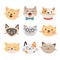 Cats heads vector illustration cute animal funny decorative characters feline domestic trendy pet drawn