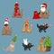 Cats in holyday christmas hats and costumes