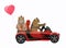 Cats in love in red car