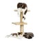 Cats lying around and on a cat tree, isolated