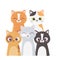 Cats make me happy, many cats different breed cartoon