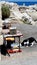 Cats on Mandraki Harbour on the Greek island of Rhodes.