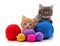 Cats and multicolored balls