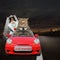 Cats newlywed driving red car at night 2