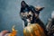 Cats and a pumpkin on a blue background.