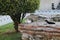 Cats are resting on the ancient wall ruins in Istanbul, Turkey