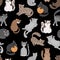 Cats seamless pattern. Shorthaired cat set pattern, cartoon kitty seamless print vector design, feline cattish cute