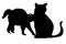 Cats silhouette isolated on white background