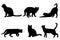 Cats silhouettes collection