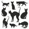 Cats silhouettes graphic vector set