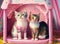 cats sitting in a pinky playroom