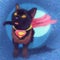 Cats superheroes. Superman