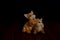 Cats together stand on a dark background in the night