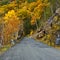 Catskill Fall Foliage