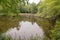 Catskills tarn or small mountain lake in Summer