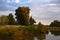 Cattails Along the Yampa River at Sunrise